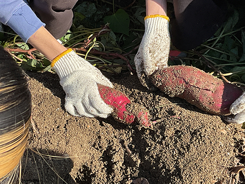 次世代育成・実践研究センターPYD体験学習プログラム